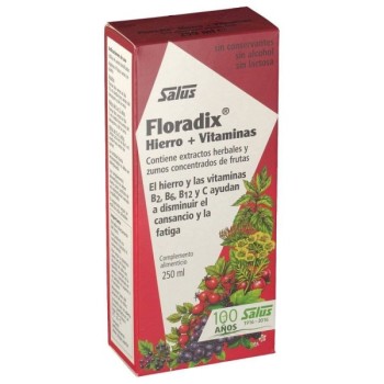 floradix-hierro-250-ml-salus